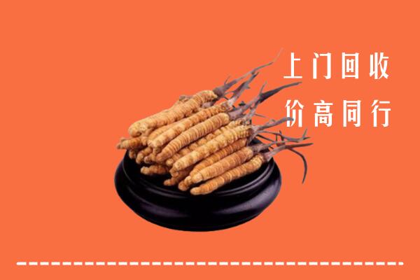 高价求购：景德镇市珠山回收散虫草