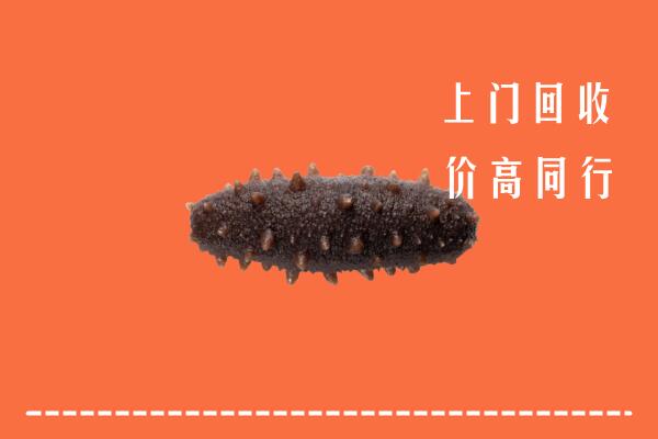 高价求购：景德镇市珠山回收海参