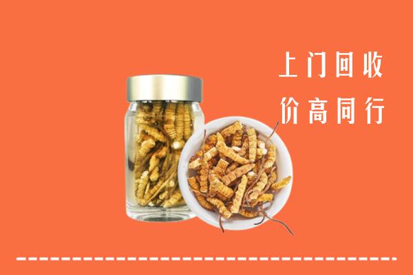 景德镇市珠山回收冬虫夏草